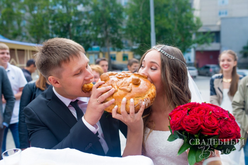 Портфолио